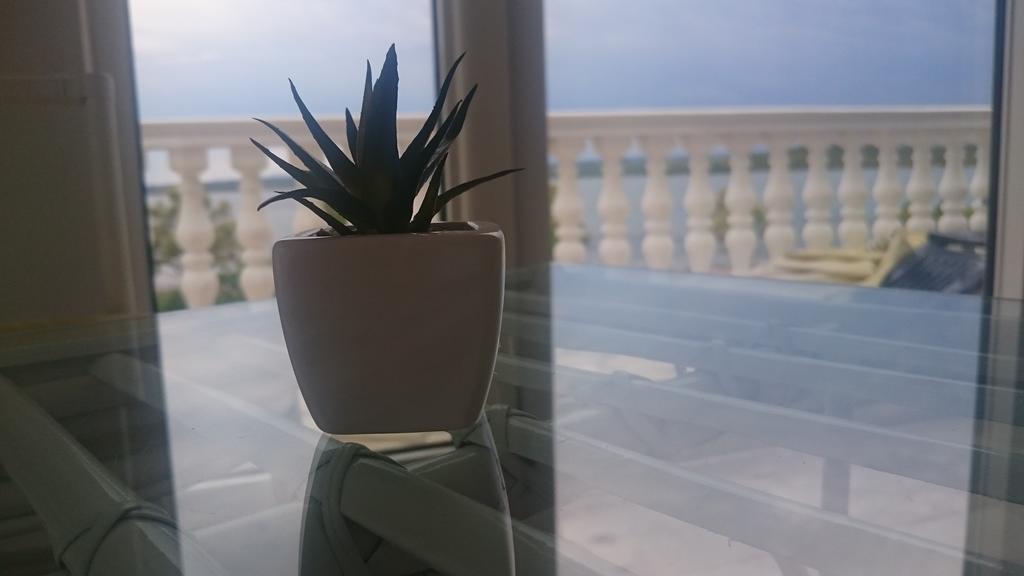 Ocean View Apartment